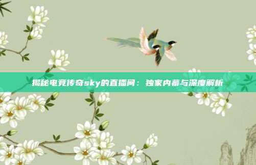 揭秘电竞传奇sky的直播间:独家内幕与深度解析