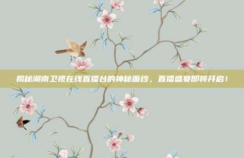 揭秘湖南卫视在线直播台的神秘面纱,直播盛宴即将开启!