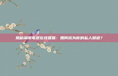 揭秘湖南电视在线直播:如何成为你的私人频道?