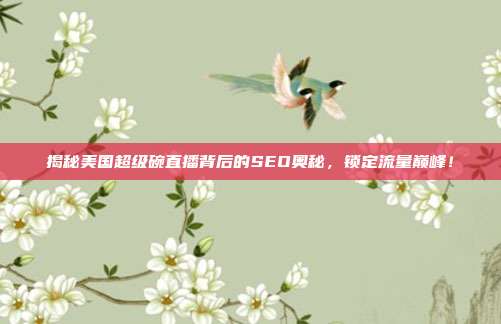 揭秘美国超级碗直播背后的SEO奥秘,锁定流量巅峰!