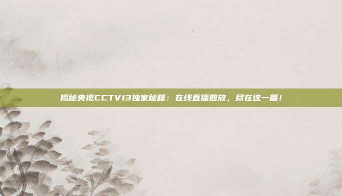 揭秘央视CCTV13独家秘籍:在线直播回放,尽在这一篇!