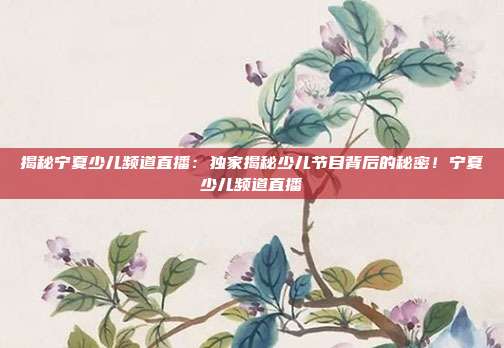 揭秘宁夏少儿频道直播:独家揭秘少儿节目背后的秘密!宁夏少儿频道直播