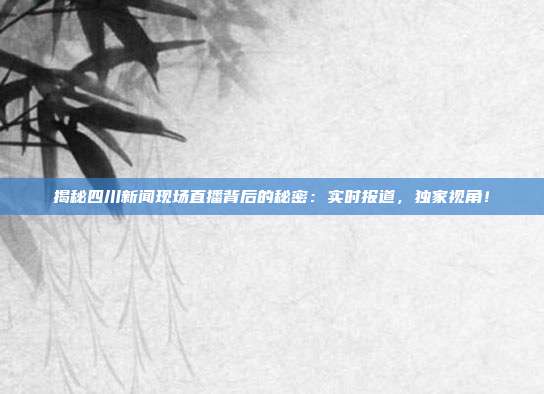 揭秘四川新闻现场直播背后的秘密：实时报道，独家视角！