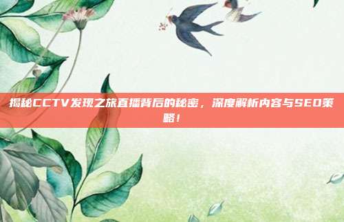 揭秘CCTV发现之旅直播背后的秘密,深度解析内容与SEO策略!