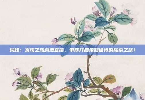 揭秘：发现之旅频道直播，带你开启未知世界的探索之旅！