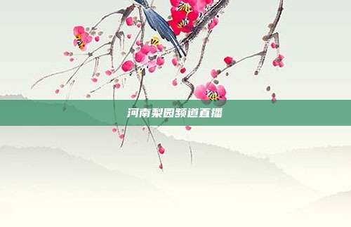 河南梨园频道直播