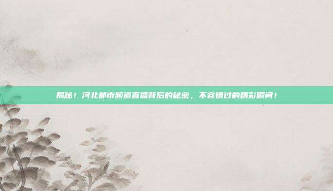 揭秘！河北都市频道直播背后的秘密，不容错过的精彩瞬间！