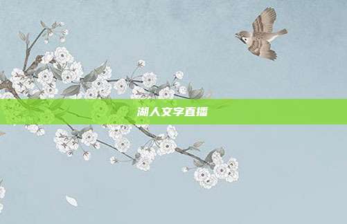 湖人文字直播