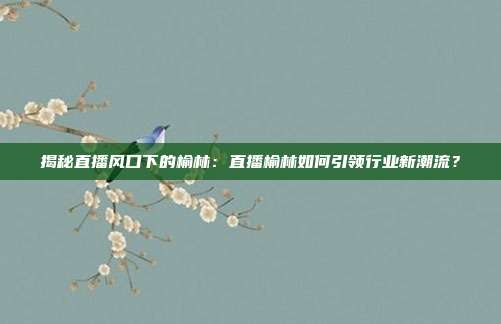 揭秘直播风口下的榆林：直播榆林如何引领行业新潮流？