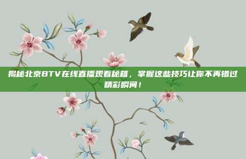 揭秘北京BTV在线直播观看秘籍,掌握这些技巧让你不再错过精彩瞬间!