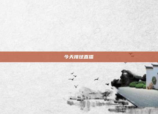 今天排球直播
