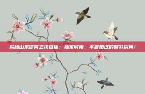 揭秘山东体育卫视直播:独家解析,不容错过的精彩瞬间!