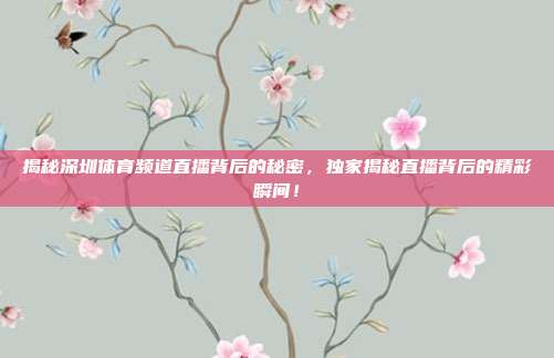 揭秘深圳体育频道直播背后的秘密，独家揭秘直播背后的精彩瞬间！