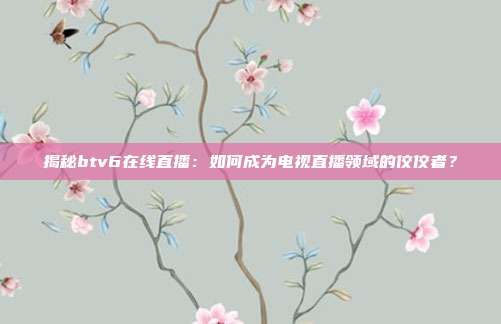 揭秘btv6在线直播：如何成为电视直播领域的佼佼者？