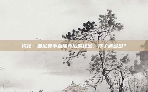 揭秘：国足赛事直播背后的秘密，你了解多少？