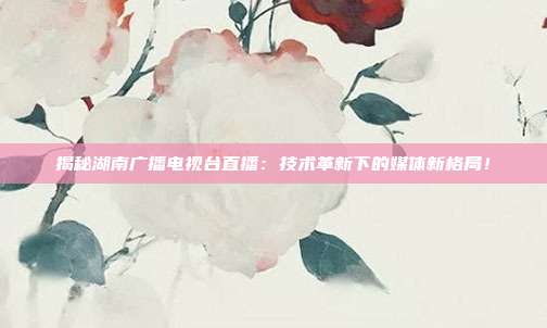 揭秘湖南广播电视台直播:技术革新下的媒体新格局!