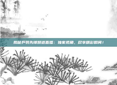 揭秘乒羽先锋频道直播：独家视角，尽享精彩瞬间！