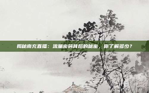 揭秘南充直播：流量密码背后的秘密，你了解多少？