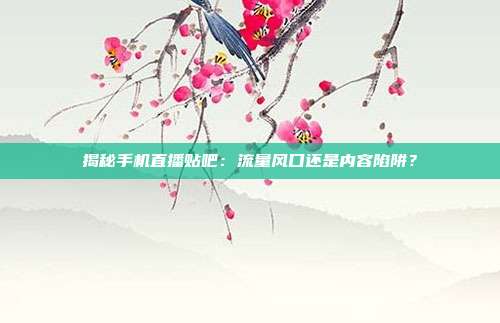 揭秘手机直播贴吧:流量风口还是内容陷阱?