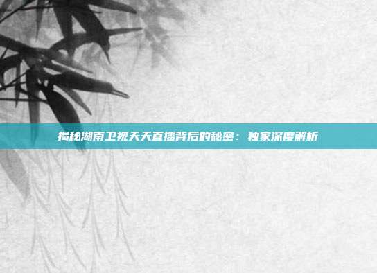 揭秘湖南卫视天天直播背后的秘密：独家深度解析