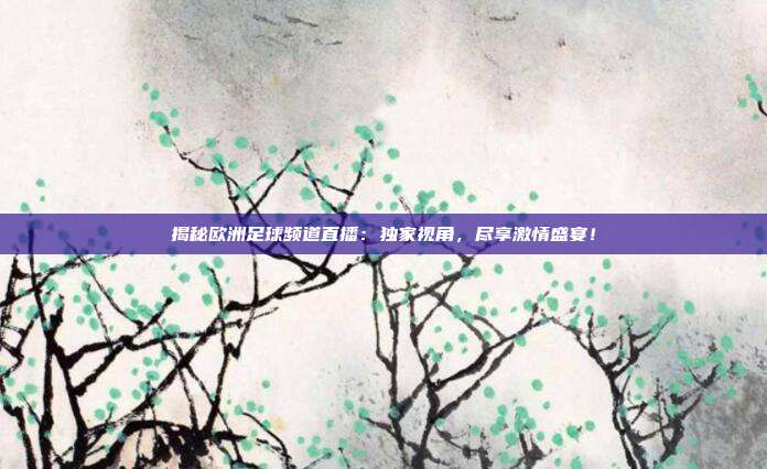 揭秘欧洲足球频道直播：独家视角，尽享激情盛宴！