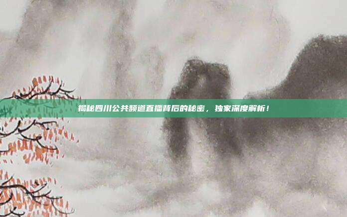 揭秘四川公共频道直播背后的秘密,独家深度解析!