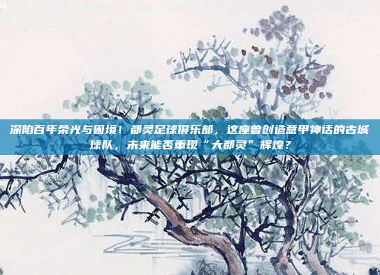 深陷百年荣光与困境！都灵足球俱乐部，这座曾创造意甲神话的古城球队，未来能否重现“大都灵”辉煌？