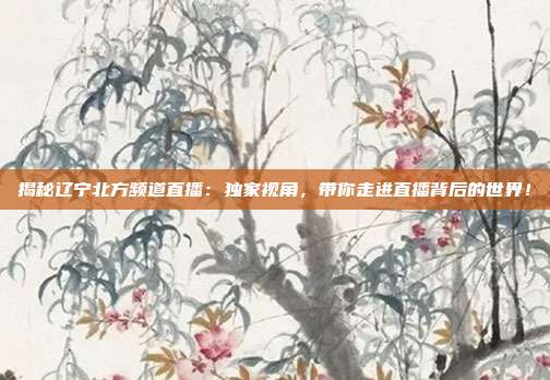 揭秘辽宁北方频道直播：独家视角，带你走进直播背后的世界！
