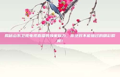 揭秘山东卫视电视直播的独家魅力，你绝对不能错过的精彩瞬间！