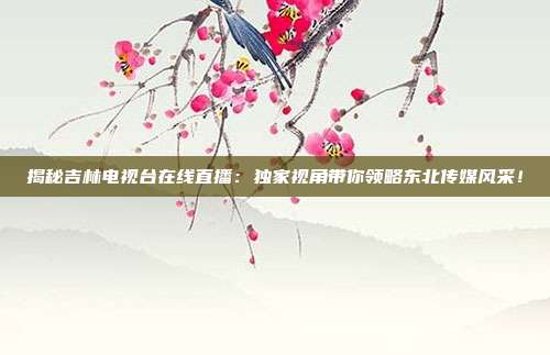 揭秘吉林电视台在线直播：独家视角带你领略东北传媒风采！