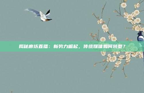 揭秘廊坊直播：新势力崛起，传统媒体如何转型？