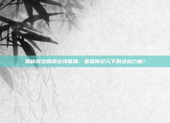 揭秘政法频道在线直播：直播新纪元下的法治力量！