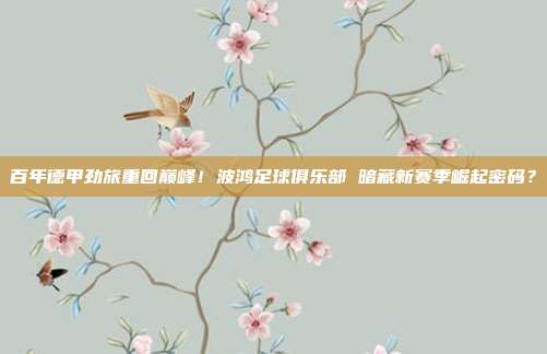 百年德甲劲旅重回巅峰！波鸿足球俱乐部 暗藏新赛季崛起密码？