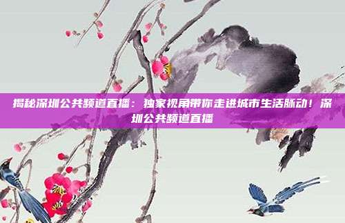 揭秘深圳公共频道直播:独家视角带你走进城市生活脉动!深圳公共频道直播