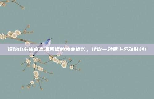 揭秘山东体育高清直播的独家优势,让你一秒爱上运动时刻!
