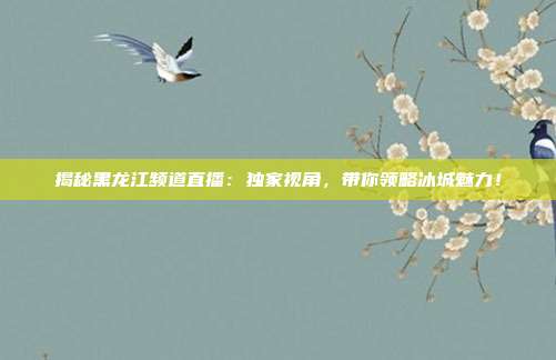 揭秘黑龙江频道直播：独家视角，带你领略冰城魅力！