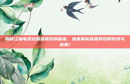揭秘江油电视台直播背后的秘密,独家解析直播背后的技术与应用!