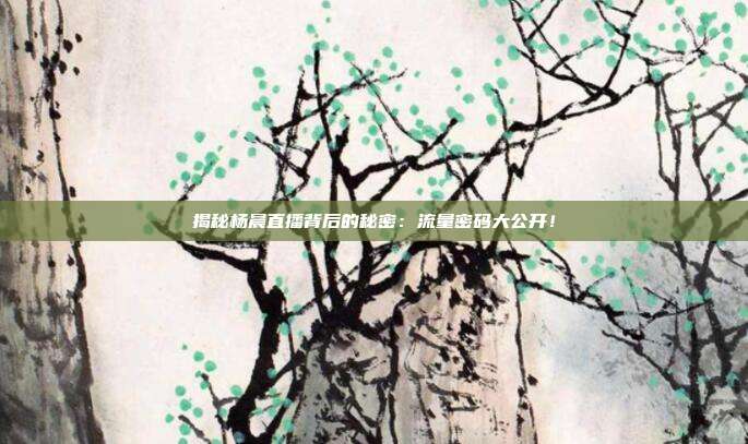 揭秘杨晨直播背后的秘密:流量密码大公开!