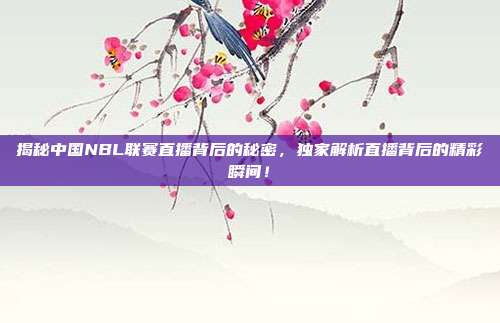 揭秘中国NBL联赛直播背后的秘密，独家解析直播背后的精彩瞬间！