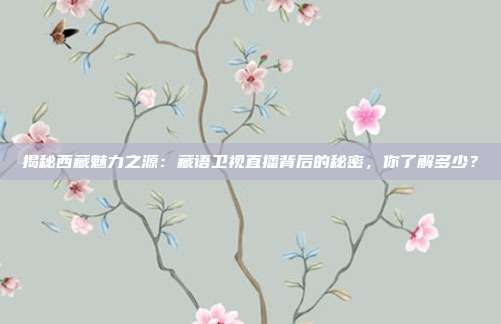 揭秘西藏魅力之源:藏语卫视直播背后的秘密,你了解多少?