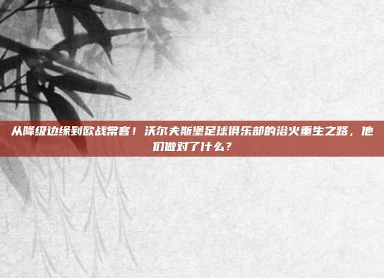 从降级边缘到欧战常客！沃尔夫斯堡足球俱乐部的浴火重生之路，他们做对了什么？