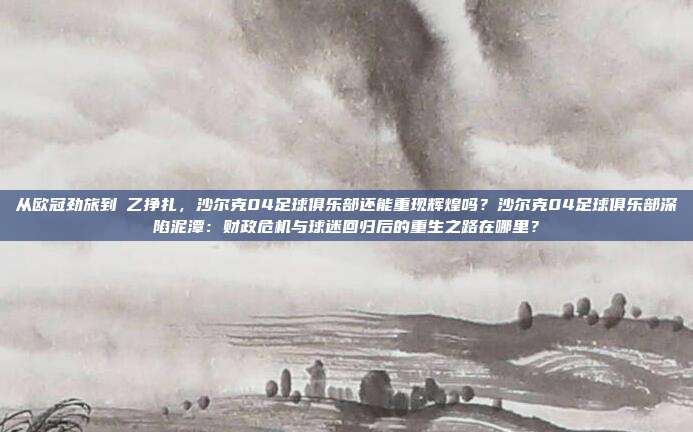 从欧冠劲旅到徳乙挣扎，沙尔克04足球俱乐部还能重现辉煌吗？沙尔克04足球俱乐部深陷泥潭：财政危机与球迷回归后的重生之路在哪里？