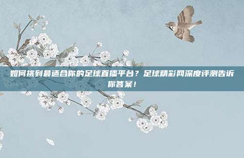 如何挑到最适合你的足球直播平台？足球精彩网深度评测告诉你答案！