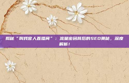揭秘“叫我官人直播间”：流量密码背后的SEO奥秘，深度解析！