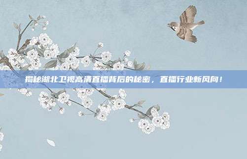 揭秘湖北卫视高清直播背后的秘密，直播行业新风向！