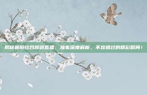 揭秘襄阳综合频道直播：独家深度解析，不容错过的精彩瞬间！