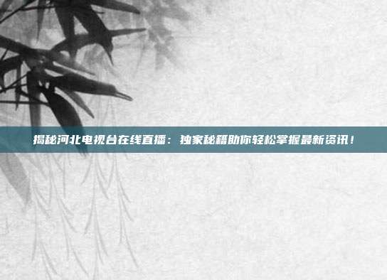 揭秘河北电视台在线直播：独家秘籍助你轻松掌握最新资讯！