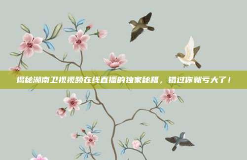 揭秘湖南卫视视频在线直播的独家秘籍，错过你就亏大了！