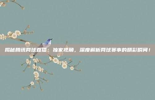 揭秘腾讯网球直播:独家视角,深度解析网球赛事的精彩瞬间!