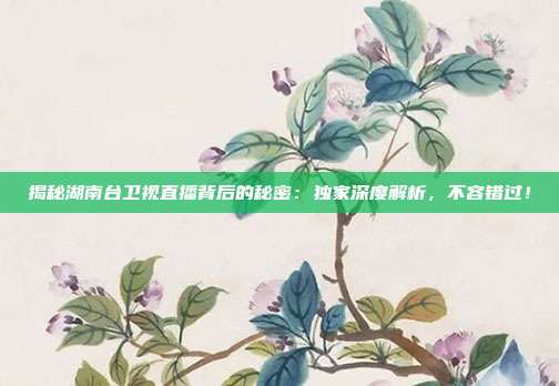 揭秘湖南台卫视直播背后的秘密：独家深度解析，不容错过！